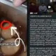 Heboh Video MBG Diduga Berbelatung di SMA Pemalang, Pengunggah Klarifikasi dan Minta Maaf