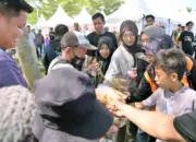 IDS Sumatra 2026 di Kalianda Bawa Berkah, Dagangan Pedagang Lansia Langsung Ludes