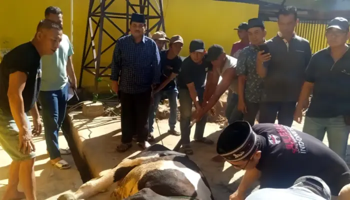 Ketua Juleha Lampung Selatan dan Anggota DPRD Sembelih Enam Hewan Kurban pada Iduladha 2026