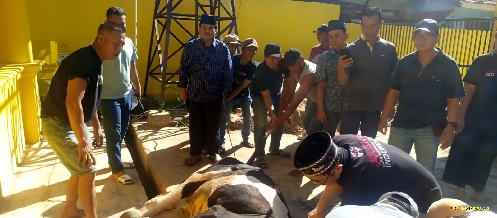 Ketua Juleha Bersama Anggota DPRD Lampung Selatan Sembelih Enam Hewan Kurban pada Iduladha 2026
