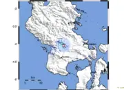 Gempa Kolaka Timur Dini Hari, Getaran M 2,9 Terasa di Sejumlah Wilayah