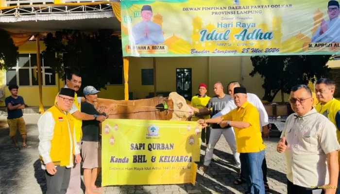 Partai Golkar Lampung Potong 65 Hewan Kurban, Perkuat Solidaritas Sosial di Hari Raya Iduladha
