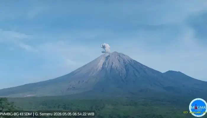 Gunung Semeru Erupsi, Kolom Abu 700 Meter Mengarah Barat Daya