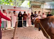 PDIP Lampung Kurban 14 Ekor Hewan, Perkuat Gotong Royong dan Ketahanan Pangan di Iduladha 2026