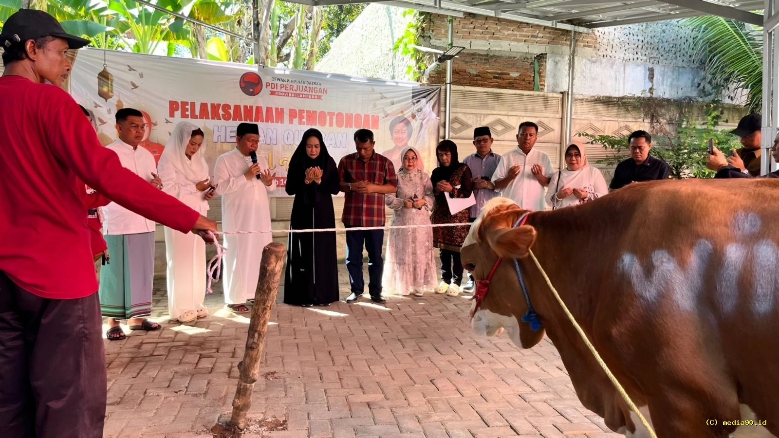 PDIP Lampung Sumbang 14 Hewan Kurban Dukung Ketahanan Pangan di Iduladha 2026