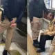 Pelaku Dugaan Pelecehan di TransJakarta Diamankan Usai Aksi Berani Penumpang Wanita