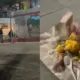 Pembeli Mengadu, Pedagang Nasi Kuning di Lapangan Vatulemo Diduga Sajikan Makanan Basi