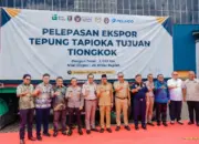 Lampung Ekspor Perdana 3.330 Ton Tapioka ke Tiongkok, Dorong Hilirisasi Singkong dan Kesejahteraan Petani