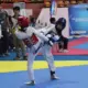 Ribuan Atlet Ramaikan Kejuaraan Taekwondo Gubernur Lampung Cup II, TI Lampung Bidik Talenta Baru