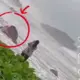 Tragis! Turis Asal Garut Meninggal Tersapu Ombak Pantai Madasari, Video Beredar