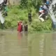 Video Penebaran Ikan di Wonogiri Jadi Sorotan, Warga Langsung Panen