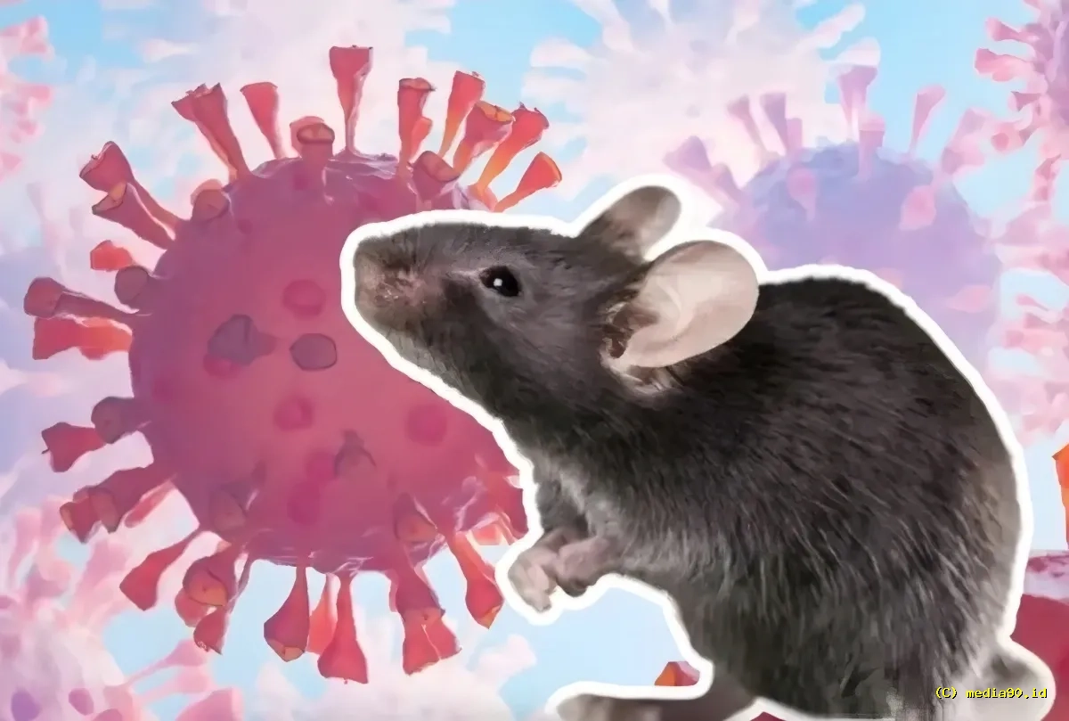 Waspada Hantavirus Kemenkes Tegaskan Dua Suspek di Indonesia Negatif dan Telah Sembuh
