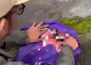 Bayi Perempuan Ditemukan dalam Tas Belanja di Denpasar, Kondisinya Masih Hidup