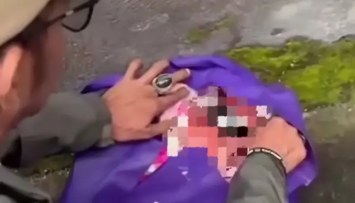 Bayi Perempuan Ditemukan dalam Tas Belanja di Denpasar, Kondisinya Masih Hidup