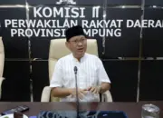Dongkrak Harga Singkong Petani, DPRD Lampung Dukung Pembangunan Dua Pabrik Bioetanol di Lampung