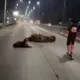 Diduga Pengaruhi Alkohol dan Bawa Sajam, Pemotor Tabrak Truk di Gerbang Tol Sayung Demak, Dua Orang Terluka