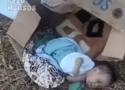 Geger! Bayi Laki-laki Ditemukan Terlantar di Dalam Kardus di Makassar, Ada Luka Diduga Bekas Operasi