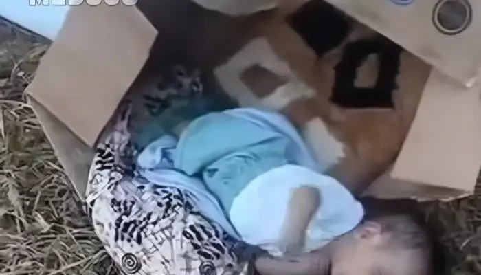 Geger! Bayi Laki-laki Ditemukan Terlantar di Dalam Kardus di Makassar, Ada Luka Diduga Bekas Operasi