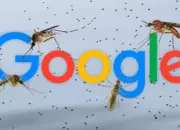 Google Ternak 32 Juta Nyamuk untuk Dilepas ke Alam, Ternyata Ini Tujuan Sebenarnya