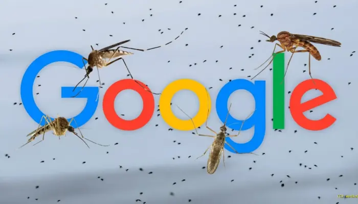 Google Ternak 32 Juta Nyamuk untuk Dilepas ke Alam, Ternyata Ini Tujuan Sebenarnya