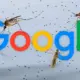Google Kembangkan 32 Juta Nyamuk untuk Dilepas ke Alam Ternyata Ini Tujuannya