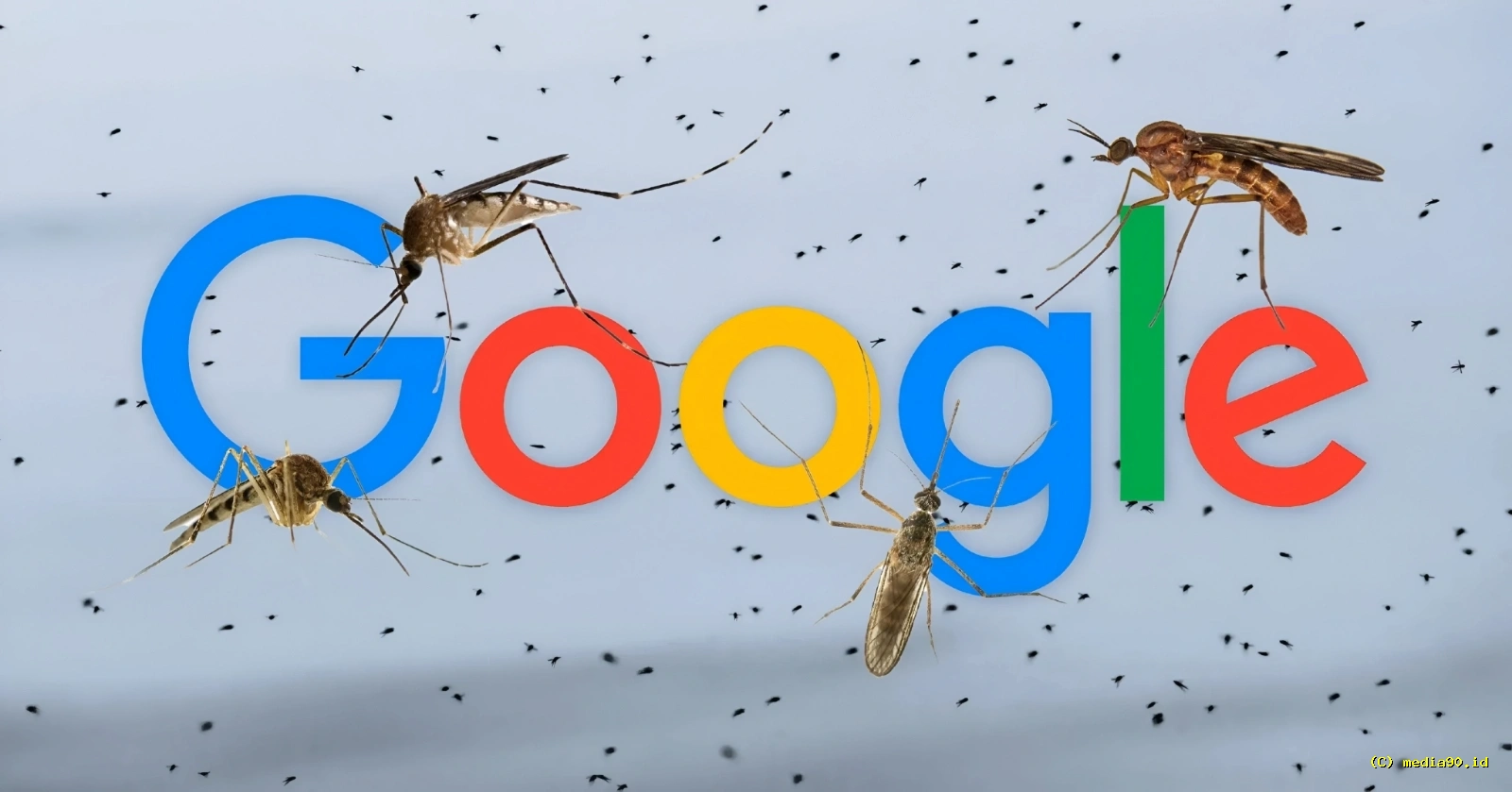 Google Kembangkan 32 Juta Nyamuk untuk Dilepas ke Alam Ternyata Ini Tujuannya
