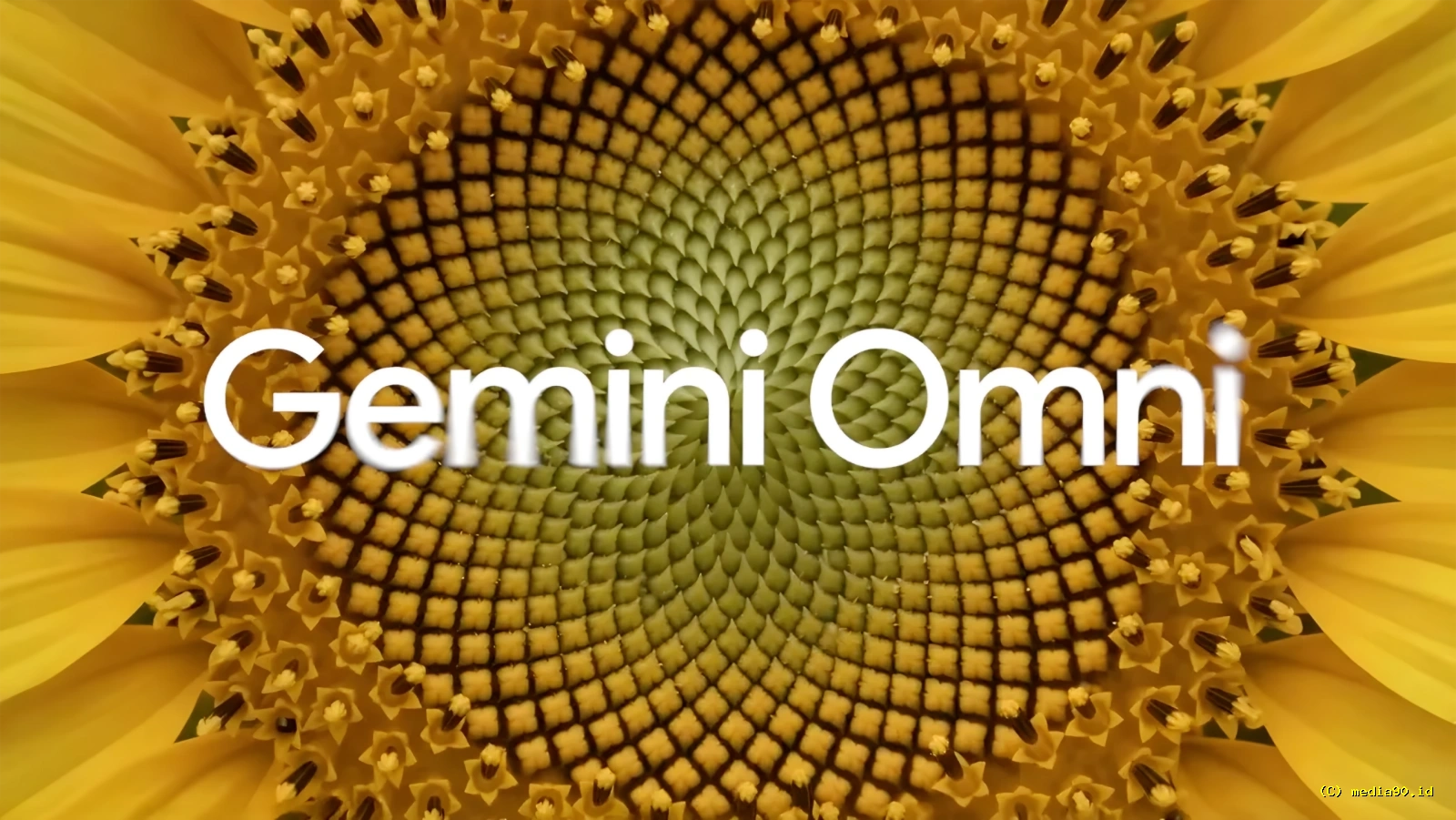 Google Perkenalkan Gemini Omni Edit Video AI Cukup dengan Prompt