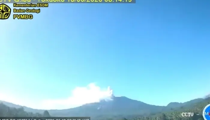 Gunung Ibu Kembali Erupsi, Kolom Abu Vulkanik Menjulang 500 Meter di Atas Puncak