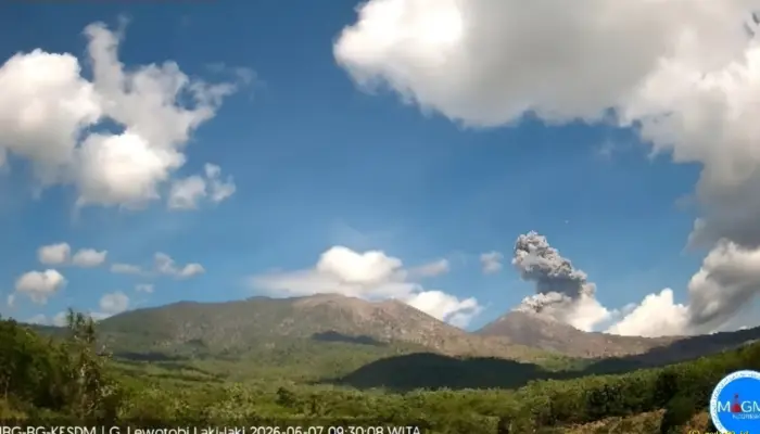 Erupsi Gunung Lewotobi Laki-laki 7 Juni 2026, Kolom Abu 1.500 Meter dan Status Waspada Ditetapkan