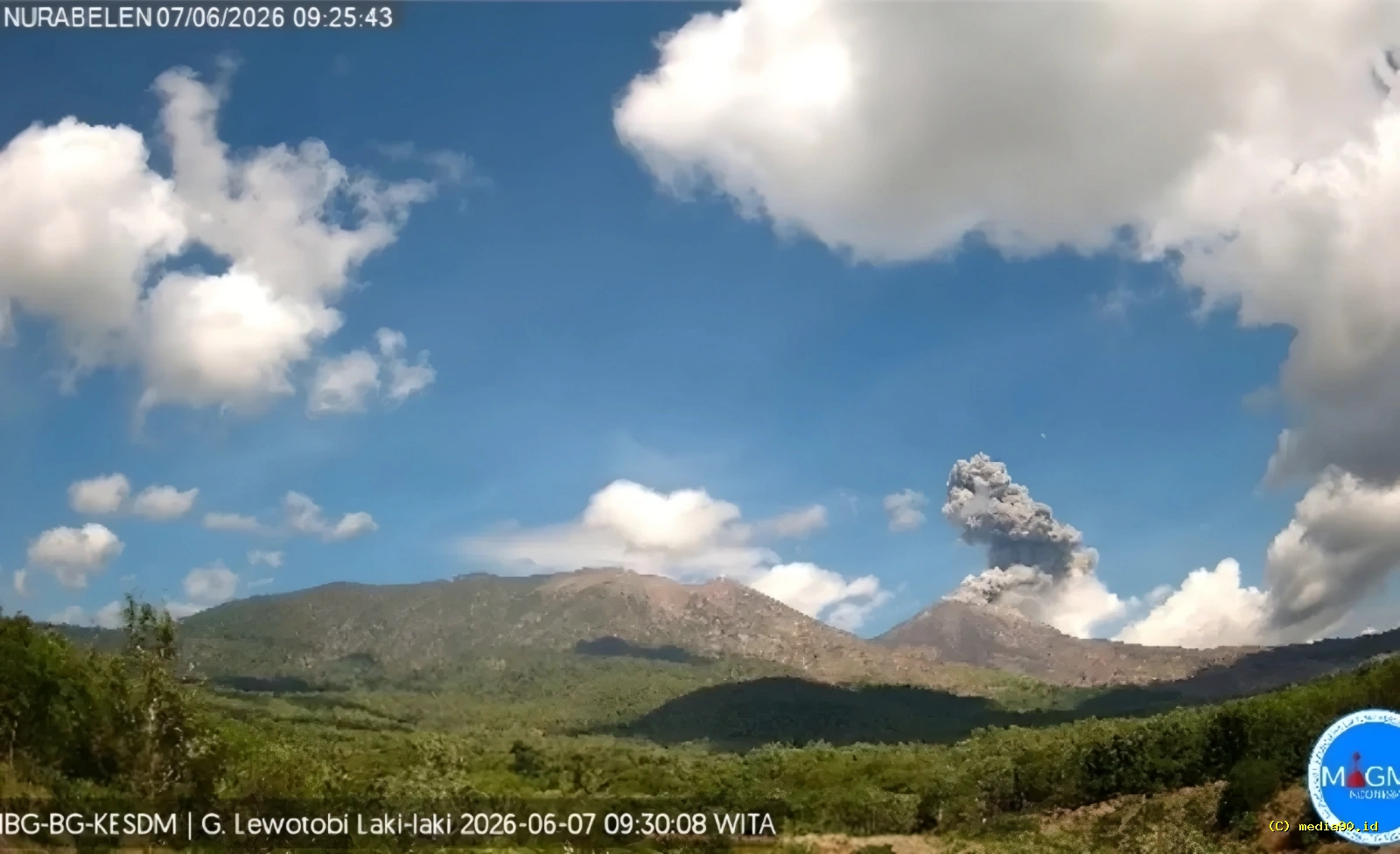 Gunung Lewotobi Laki-laki Erupsi pada 7 Juni 2026, Abu Vulkanik Membumbung 1.500 Meter