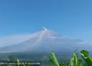 Erupsi Gunung Semeru 7 Juni 2026, Kolom Abu 400 Meter dan Aktivitas Seismik Terekam Kuat