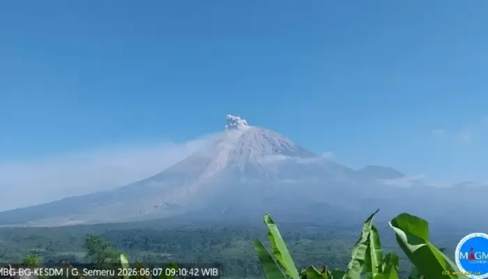 Erupsi Gunung Semeru 7 Juni 2026, Kolom Abu 400 Meter dan Aktivitas Seismik Terekam Kuat