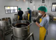 Teknologi Produksi Modern Bikin Palm Sugar Lebih Higienis dan Praktis untuk Industri F&B