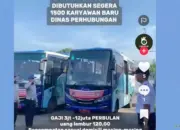 Loker Dinas Perhubungan 1.500 Karyawan Viral di TikTok Diduga Hoaks, Ini Fakta Sebenarnya