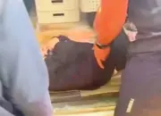 Kecelakaan Tunggal di Batang, Dua Pekerja Perempuan Terjatuh Saat Menuju PT Dream Plastik