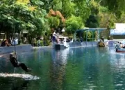 12 Destinasi Wisata Menarik di Kabupaten Kuningan untuk Healing dan Liburan Keluarga