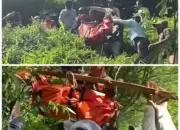Pencarian Lansia Hilang di Temanggung Berakhir Duka, Korban Ditemukan Meninggal Dunia