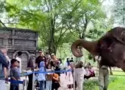 7 Tempat Wisata di Sekitar Stasiun Palur, Dekat dan Mudah Dijangkau