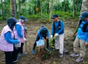 PLN UID Lampung Perkuat Komitmen Lingkungan Lewat Aksi Tanam Pohon di Hari Lingkungan Hidup Sedunia