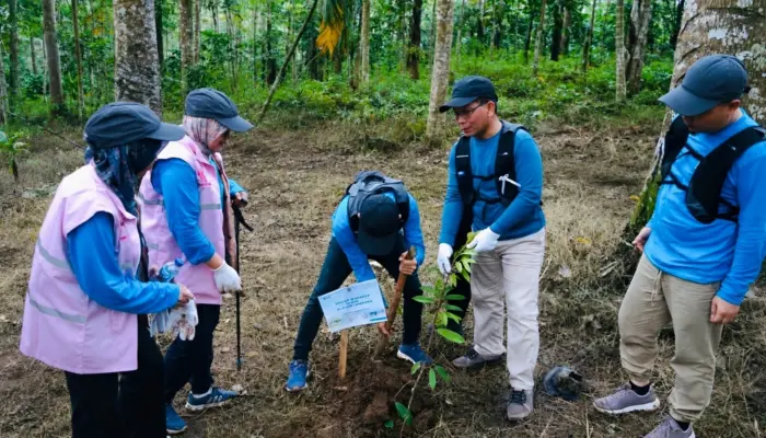 PLN UID Lampung Perkuat Komitmen Lingkungan Lewat Aksi Tanam Pohon di Hari Lingkungan Hidup Sedunia