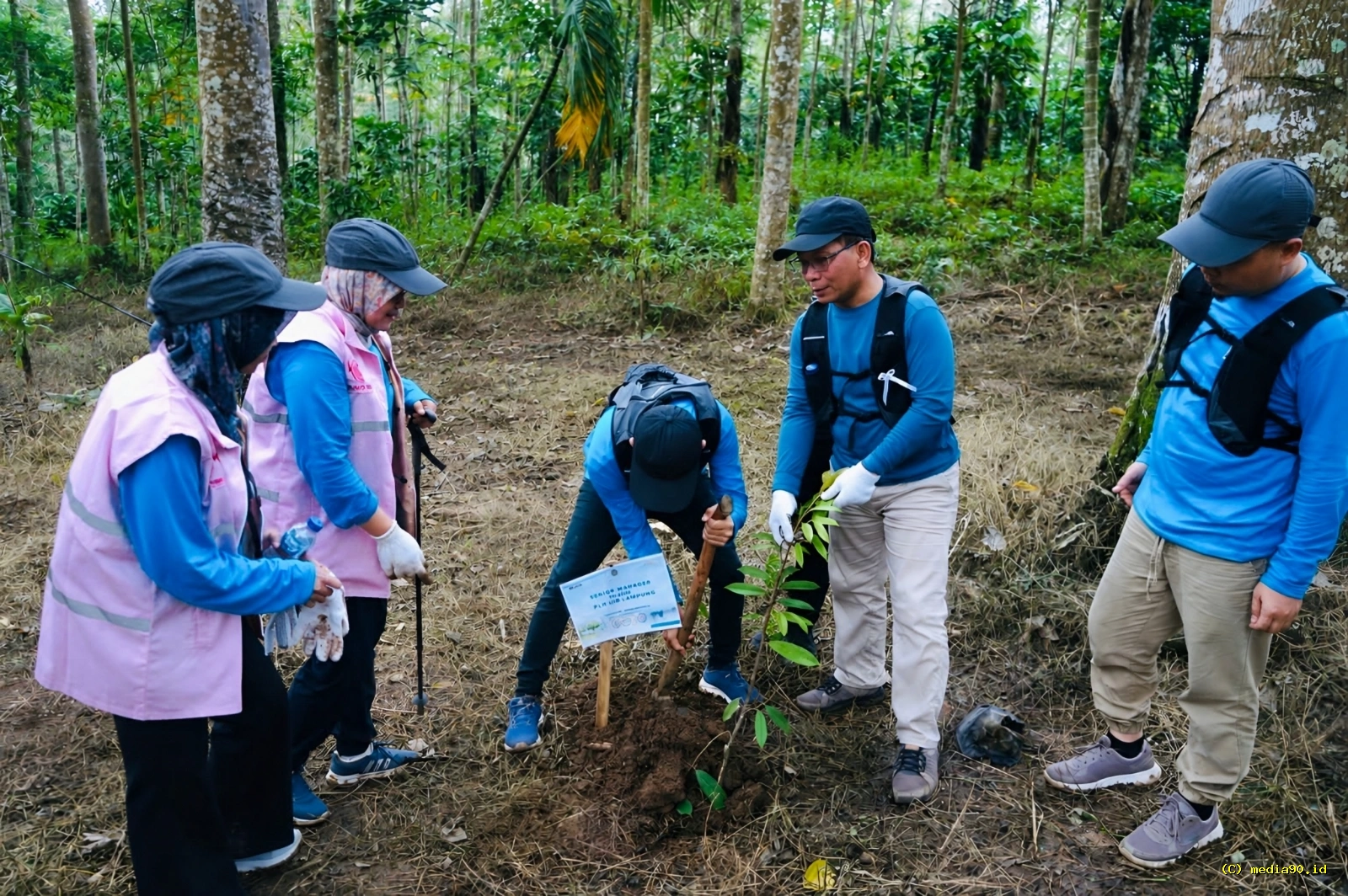 PLN Lampung Rayakan Hari Lingkungan Hidup Sedunia Lewat Gerakan Tanam Pohon Demi Masa Depan Berkelanjutan