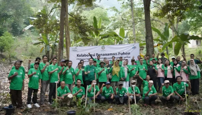 Hari Lingkungan Hidup Sedunia, PLN UP Tarahan dan KTH Rangai Sejahtera Tanam 1.800 Pohon untuk Kelestarian Hutan