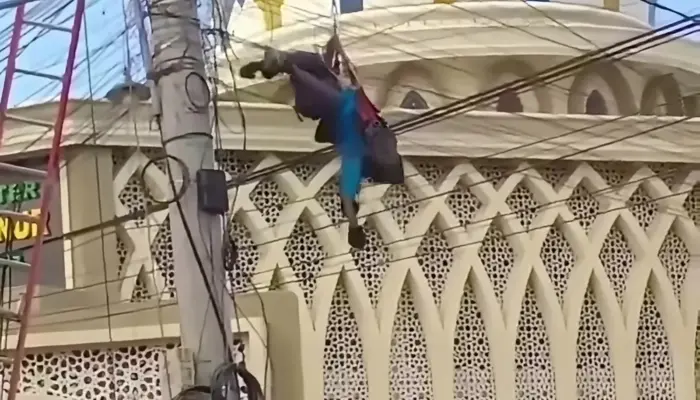 Petugas PLN Pringgabaya Meninggal Dunia Saat Perbaikan Jaringan Listrik, Diduga Tersengat Arus