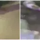 Polisi Selidiki Kematian Driver Maxim Bandara di Maros yang Tewas Bersimbah Darah
