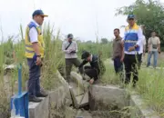 BBWS Mesuji Sekampung dan PT Brantas Abipraya Percepat Perbaikan Saluran Irigasi Way Gemol Tubaba