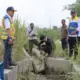 Saluran Irigasi Way Gemol Tubaba Rusak BBWS Mesuji Sekampung dan PT Brantas Abipraya Bergerak Cepat
