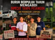 Puluhan Tahun Bekerja, Tiga Buruh di Lampung Selatan Klaim Di-PHK Tanpa Pesangon