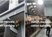 Viral! Kandang Domba Mewah di Batur Banjarnegara Mirip Vila Sultan Bikin Netizen Syok