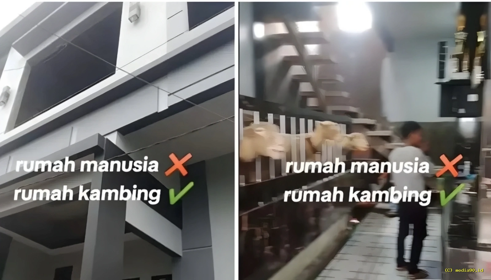 Viral Kandang Domba Mewah di Batur Banjarnegara Mirip Istana Sultan Bikin Heboh Netizen