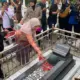 Ziarah ke TMP Eva Dwiana Serukan Generasi Muda Teruskan Semangat Perjuangan